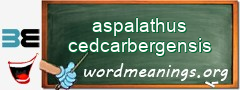 WordMeaning blackboard for aspalathus cedcarbergensis